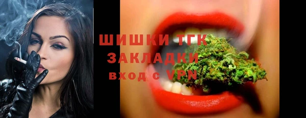 винт Бикин