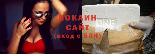 дурь Няндома