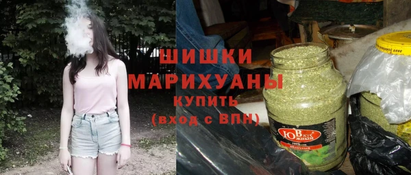 дурь Няндома