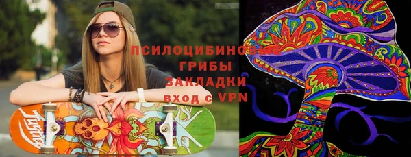 дурь Няндома