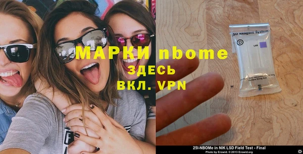 дурь Няндома