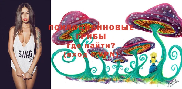 дурь Няндома