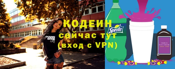 дурь Няндома