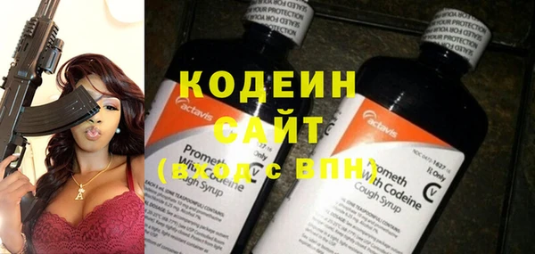 дурь Няндома