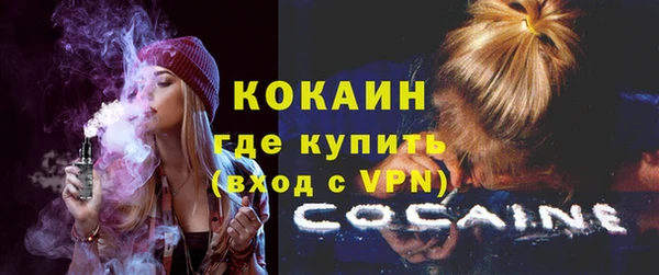 дурь Няндома
