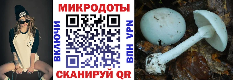 kraken маркетплейс  Аркадак  Псилоцибиновые грибы Psilocybe  цена наркотик 